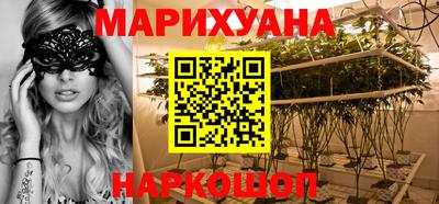 сатива Камышлов