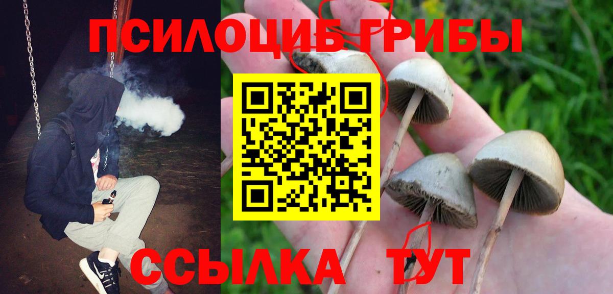 Псилоцибиновые грибы Cubensis  Галлюциногенные грибы Psilocybine cubensis  Канск  Вход с VPN 