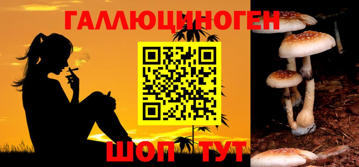 Галлюциногенные грибы мицелий Канск